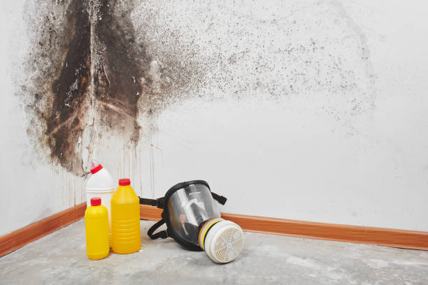 Best Water Damage Restoration  in Spring Ridge, MD