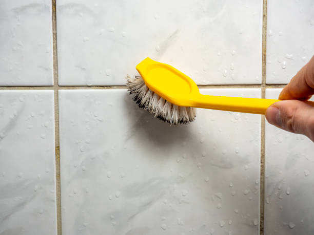 Office Mold Removal Services in Spring Ridge, MD
