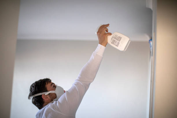 Best Toxic Mold Removal  in Spring Ridge, MD
