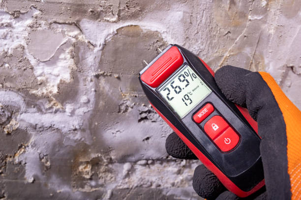 Best Mold Removal Process  in Spring Ridge, MD