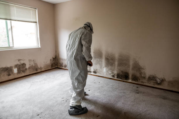 Water Damage Restoration in Spring Ridge, MD